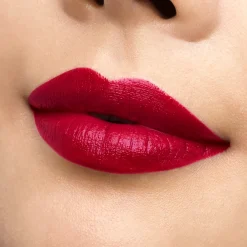 Rouge Louboutin Silky Satin On The Go^Christian Louboutin Best